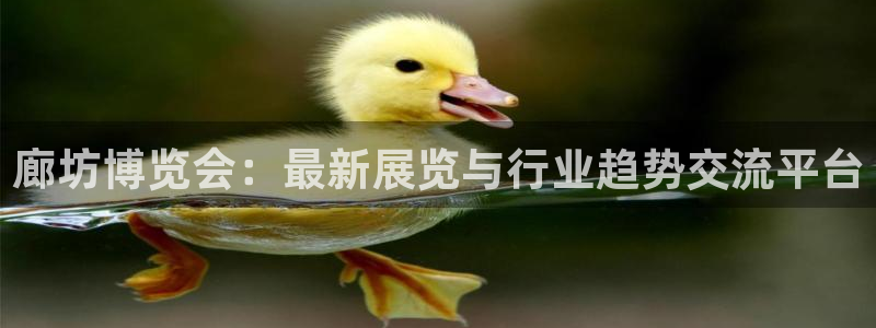 果博注册平台怎么注册不了